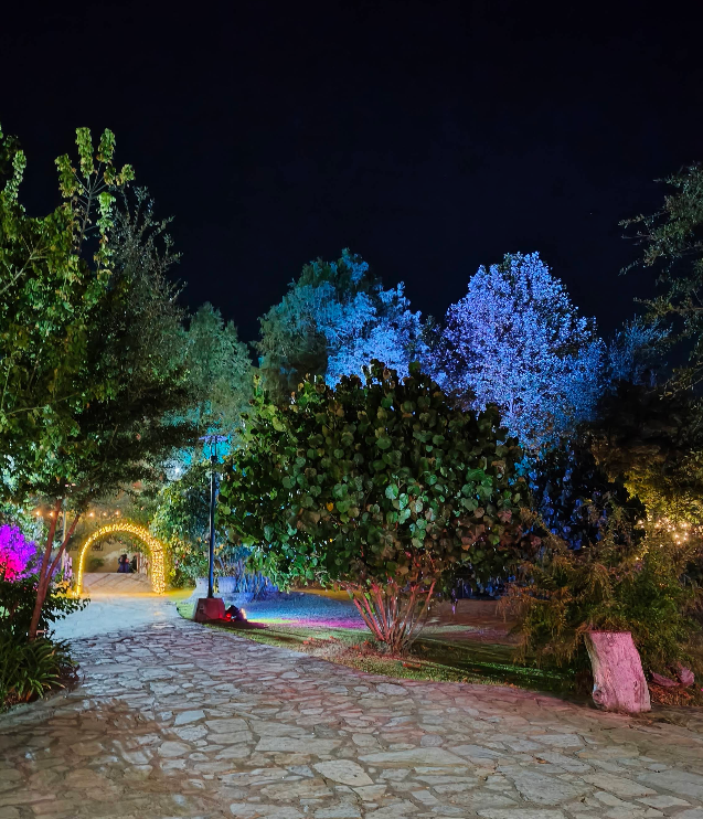 Entrada del jardín